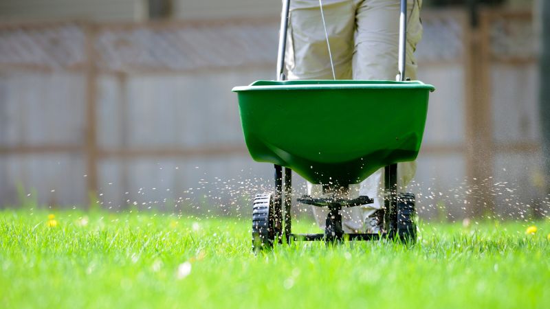 We'll keep intruders out of your yard with our top notch weed control services!