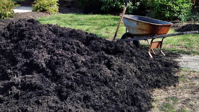 We can lay fresh mulch to your flower beds and landscaping. Along with a fresh new look, it will also help keep your plants from drying out.