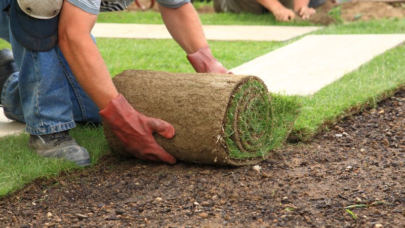 We lay sod as well as seed seed new lawns. Let us get your new lawn done!